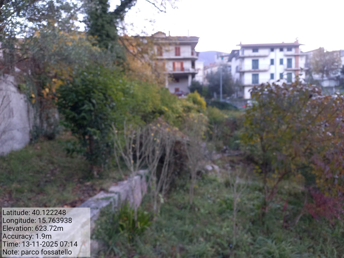 Galleria Fotografica Immagine