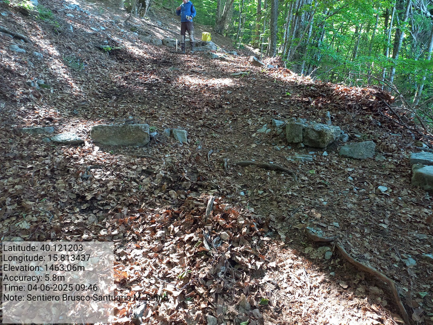 Galleria Fotografica Immagine