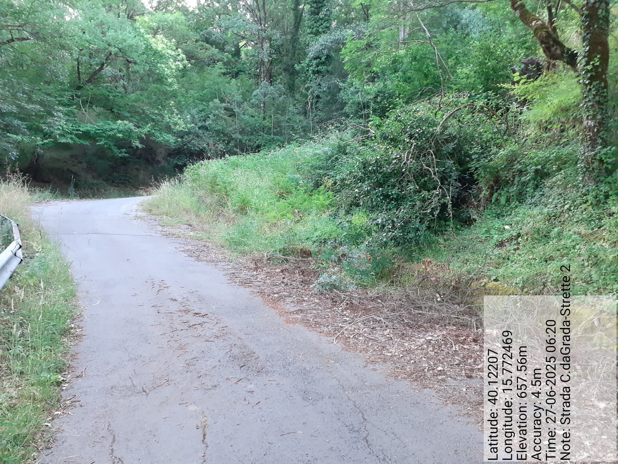 Galleria Fotografica Immagine