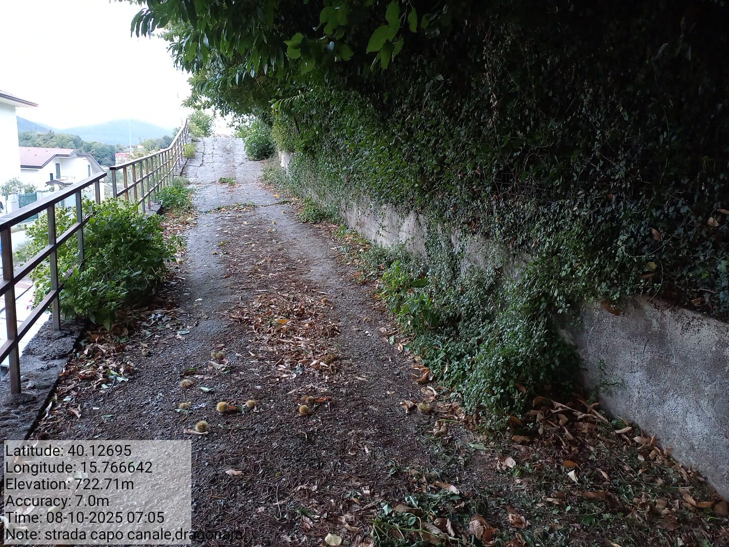 Galleria Fotografica Immagine