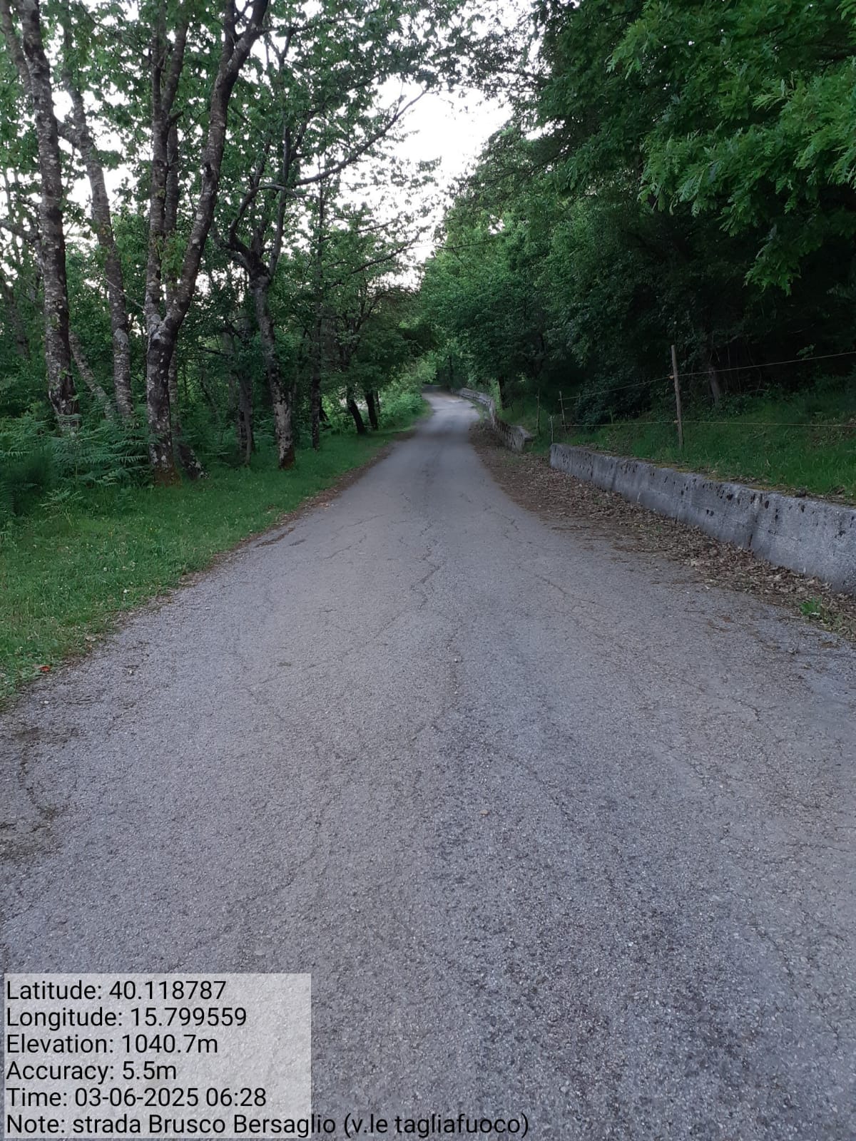 Galleria Fotografica Immagine