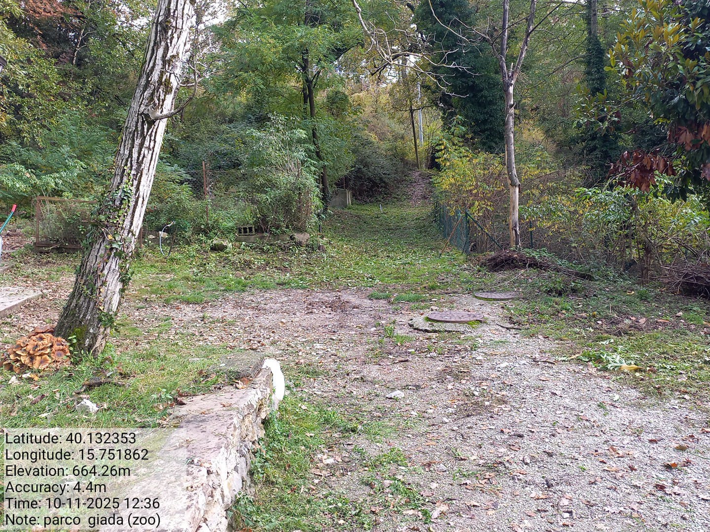 Galleria Fotografica Immagine