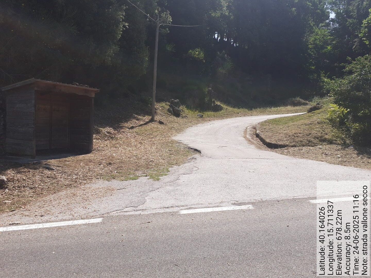 Galleria Fotografica Immagine