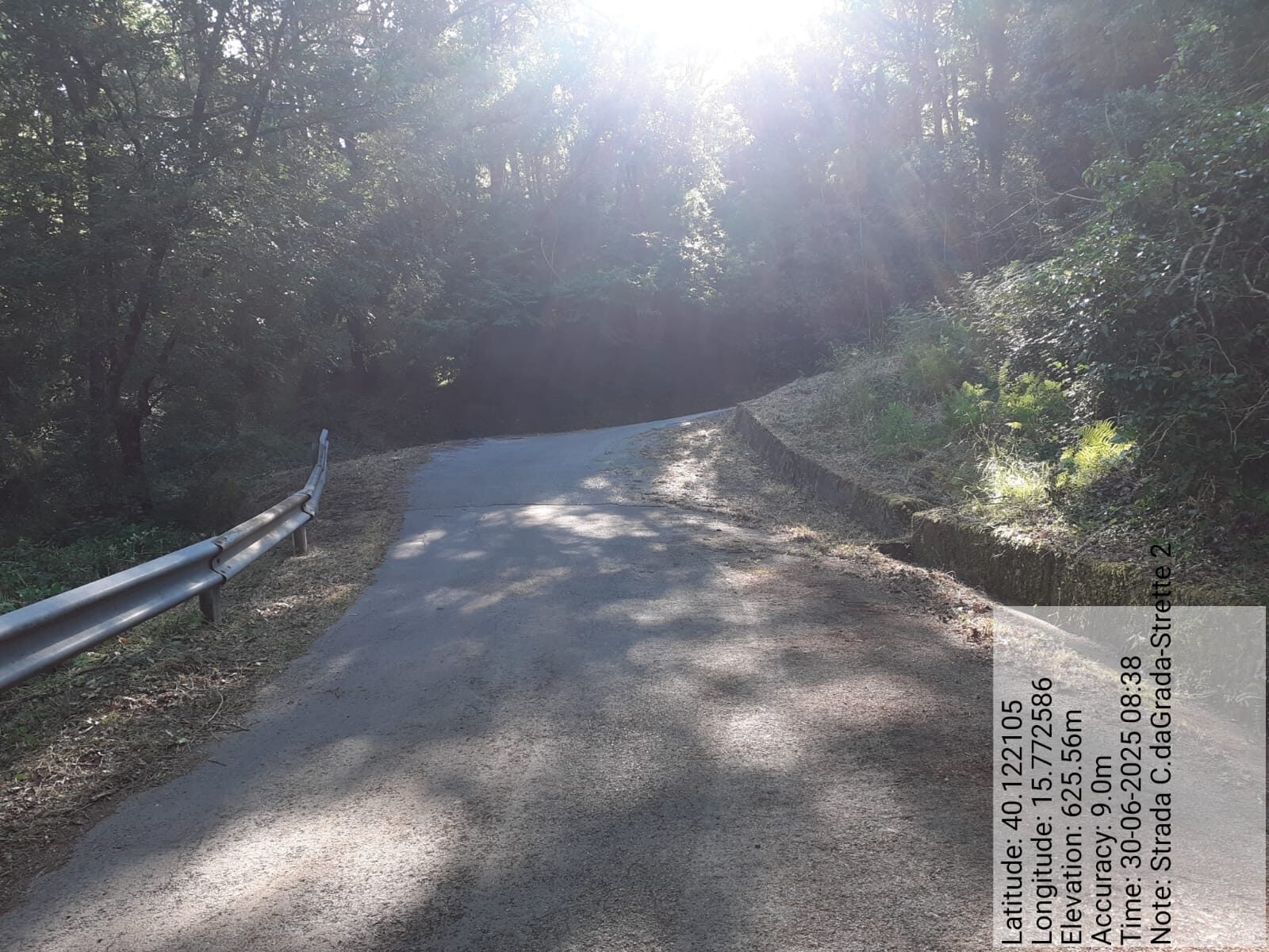 Galleria Fotografica Immagine