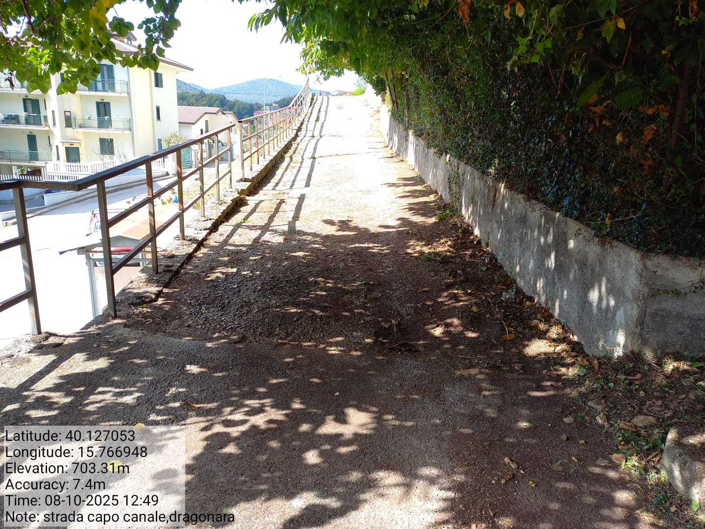 Galleria Fotografica Immagine