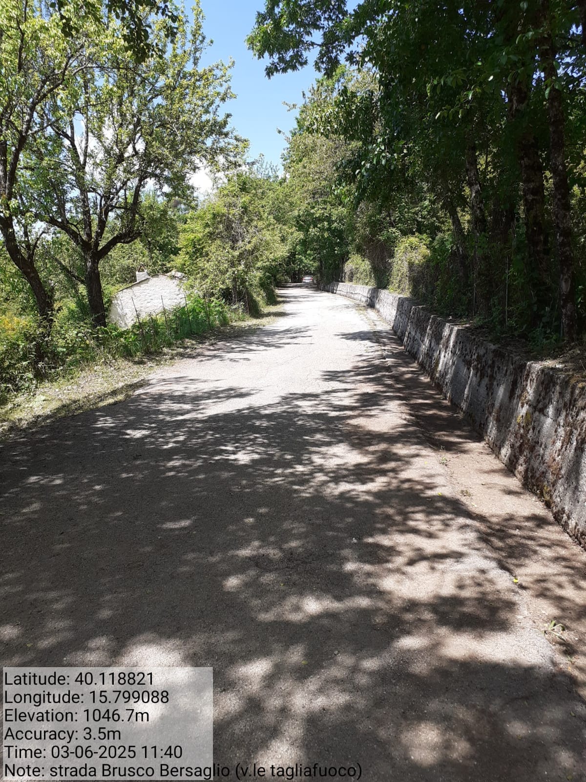 Galleria Fotografica Immagine