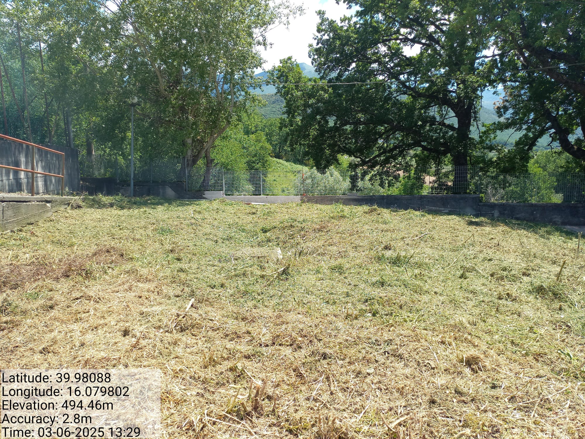 Galleria Fotografica Immagine