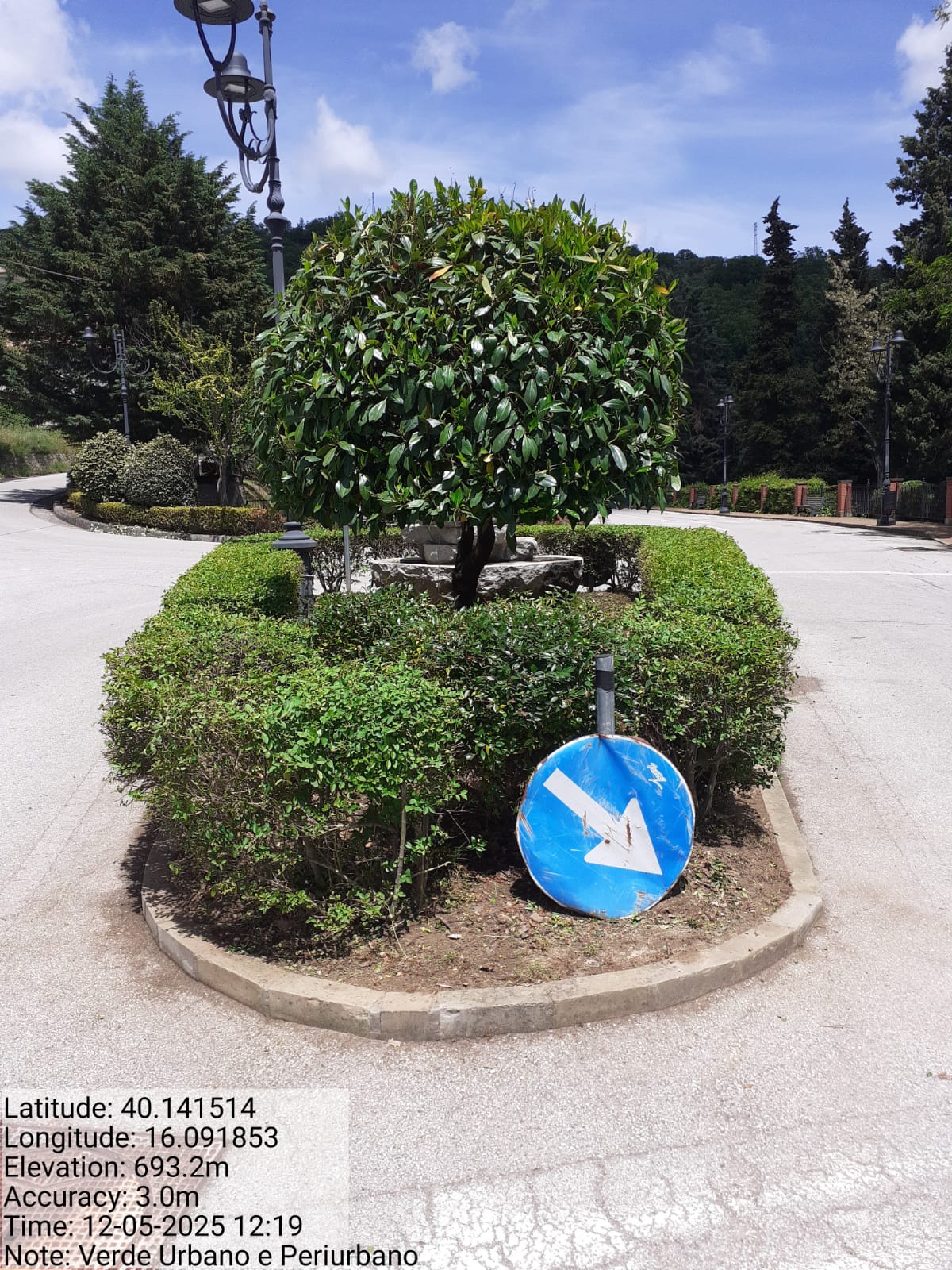 Galleria Fotografica Immagine