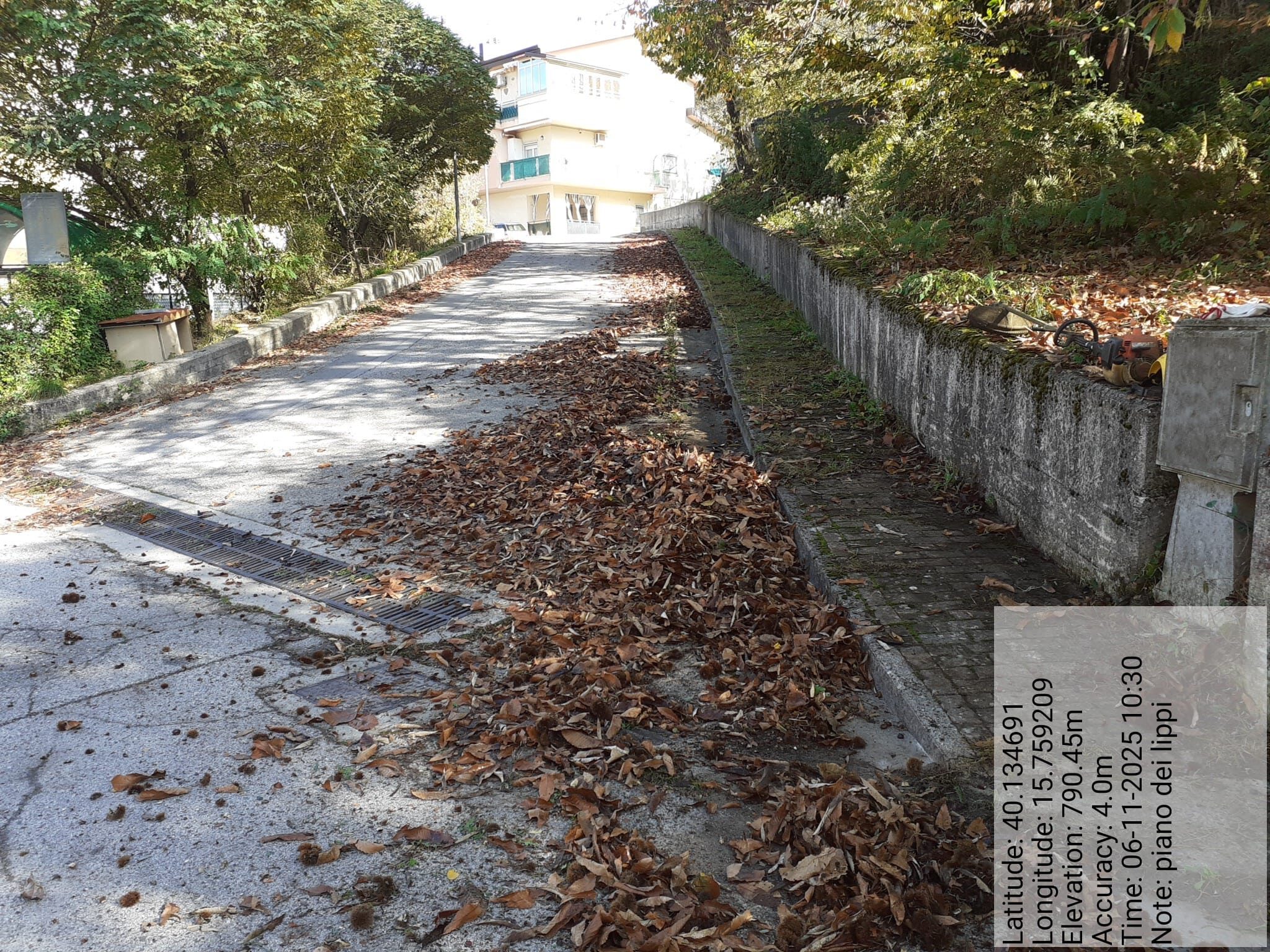 Galleria Fotografica Immagine