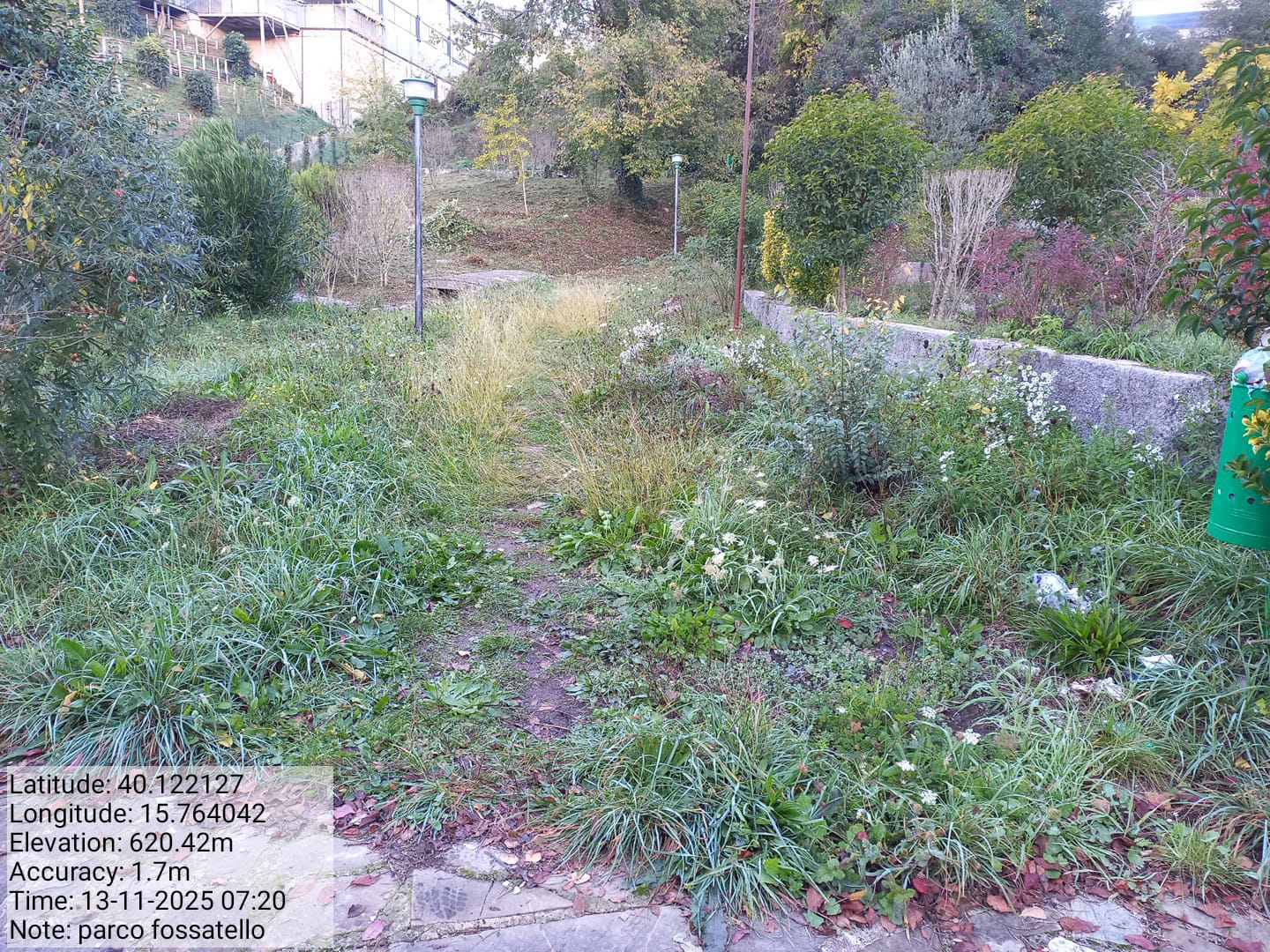 Galleria Fotografica Immagine