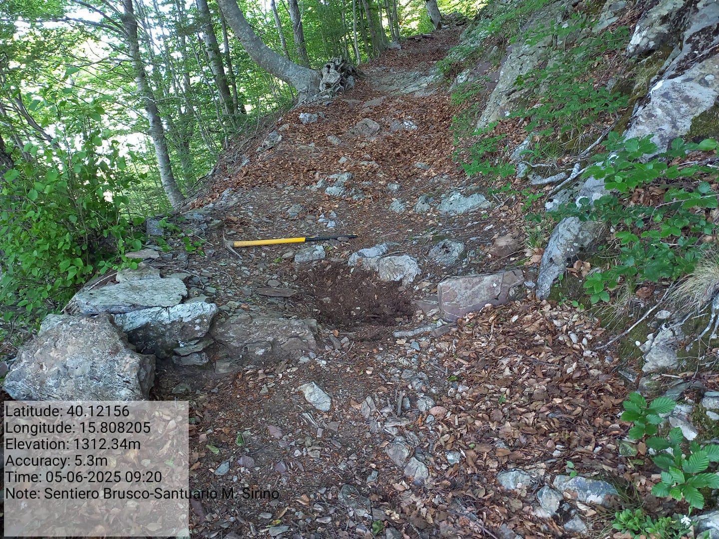 Galleria Fotografica Immagine