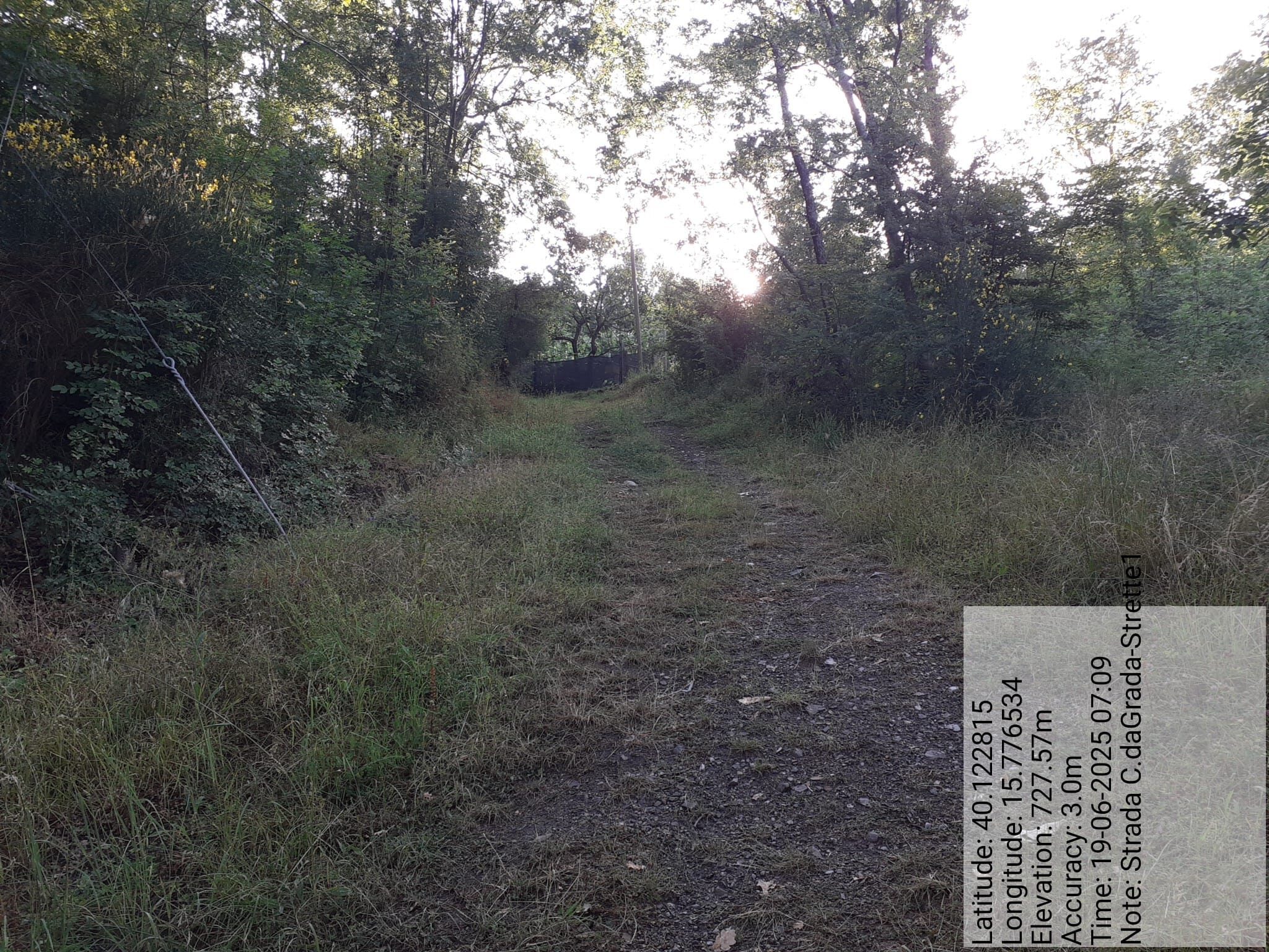 Galleria Fotografica Immagine