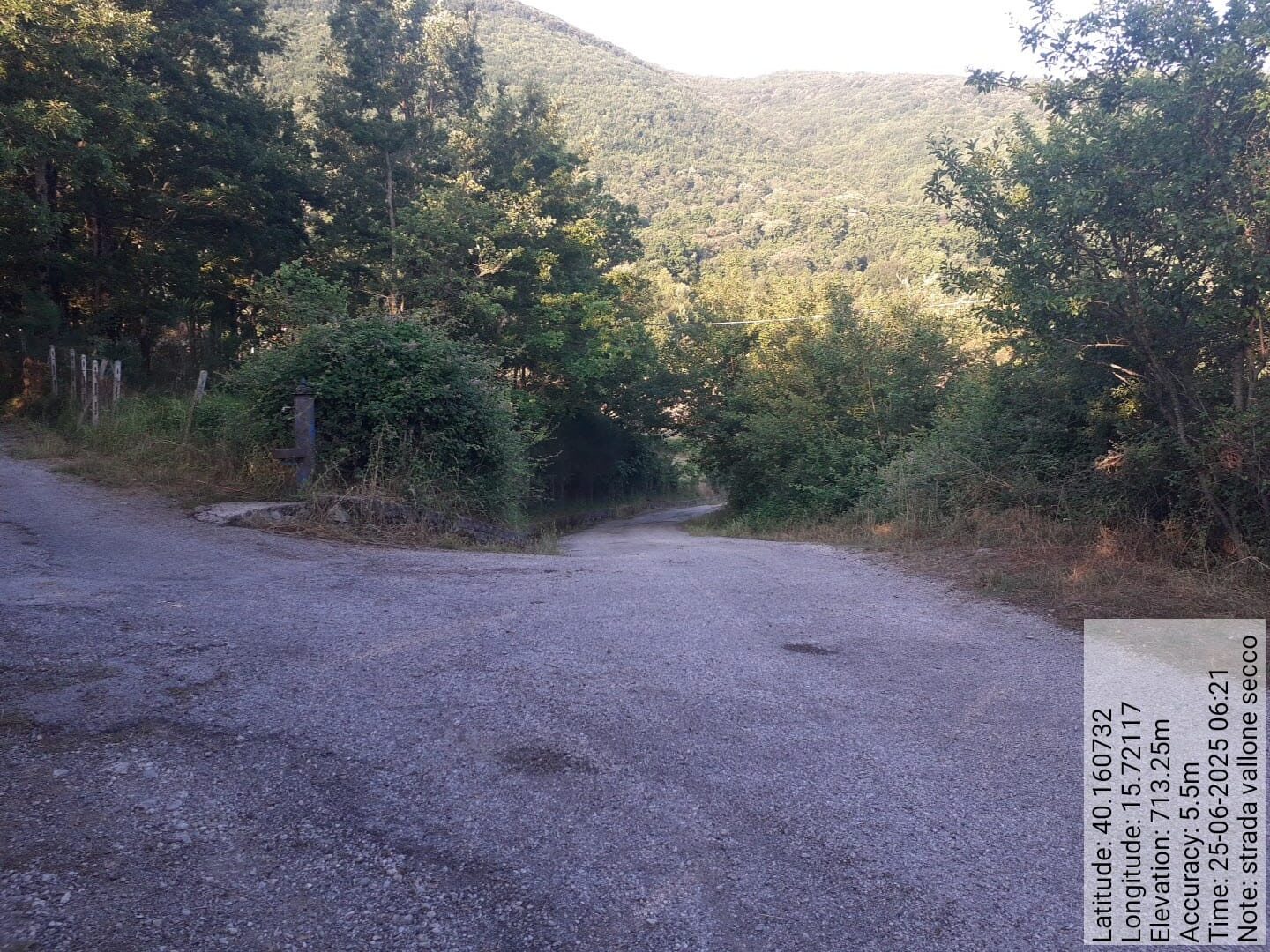 Galleria Fotografica Immagine