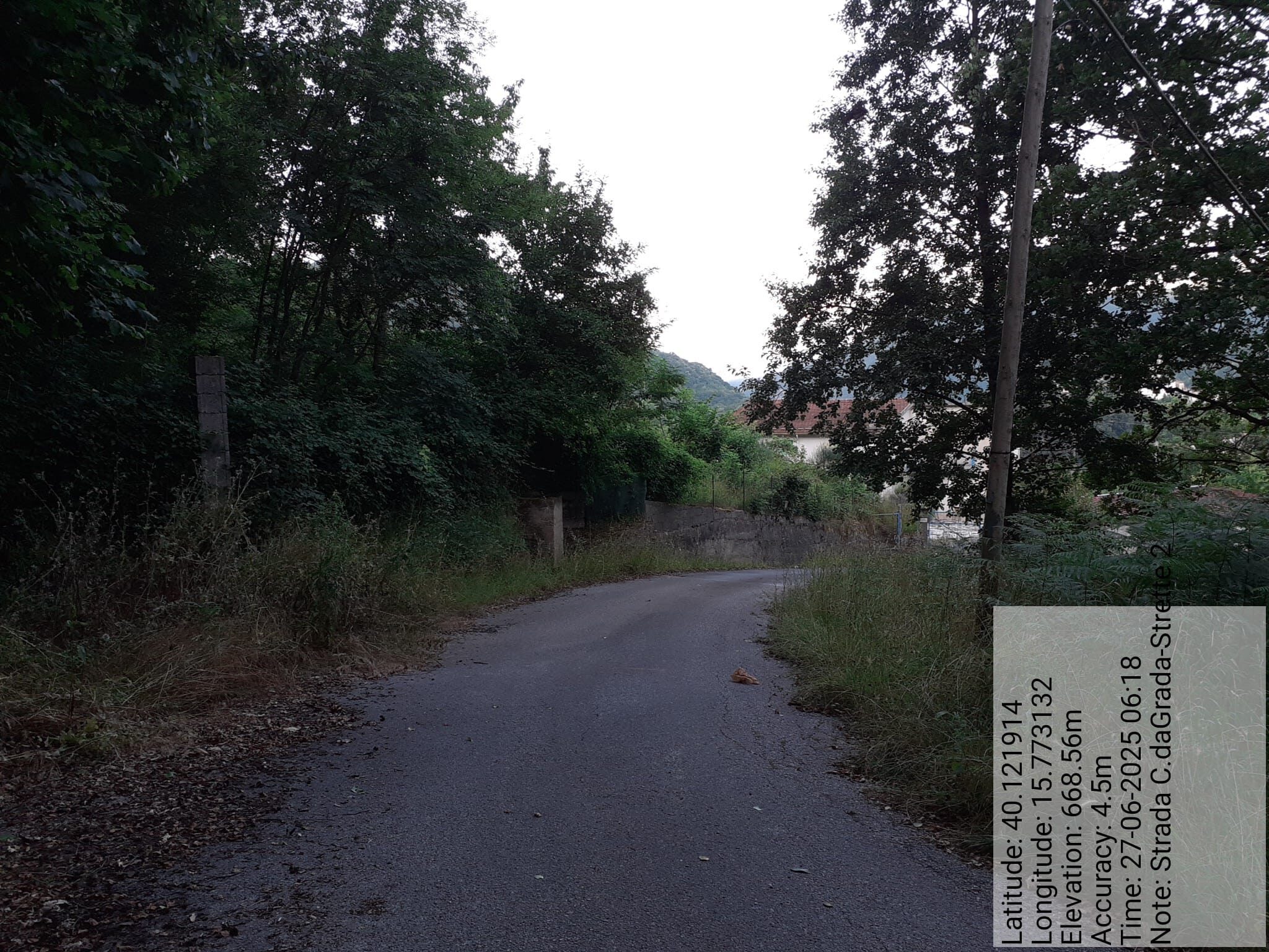 Galleria Fotografica Immagine