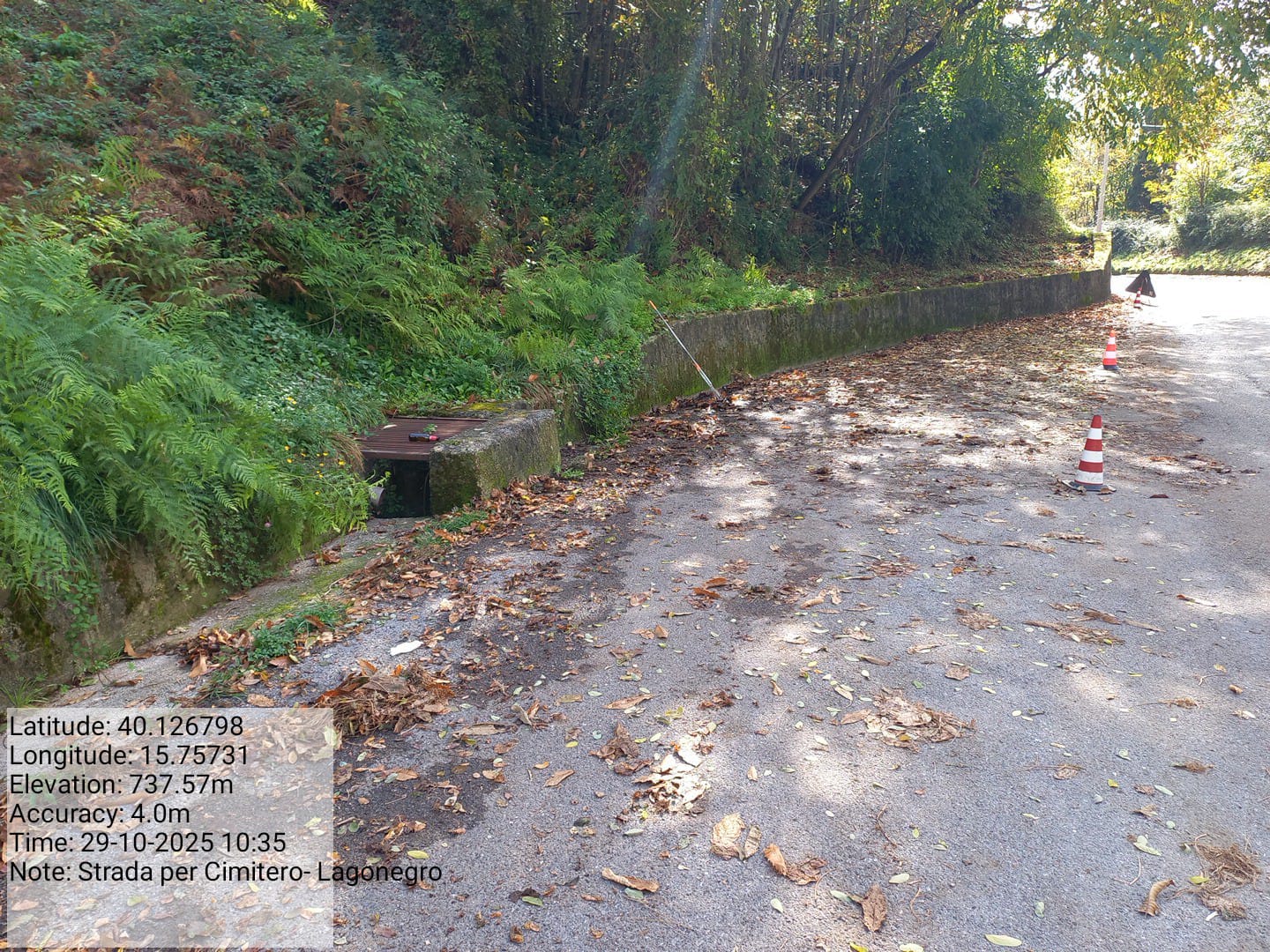 Galleria Fotografica Immagine