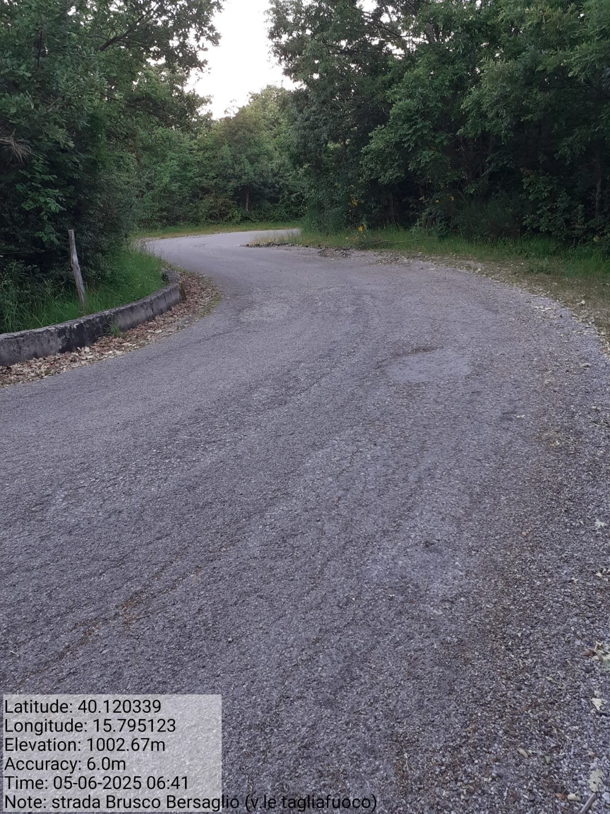 Galleria Fotografica Immagine