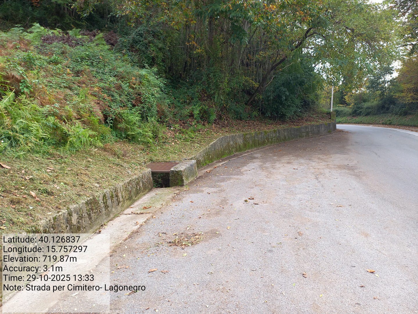 Galleria Fotografica Immagine