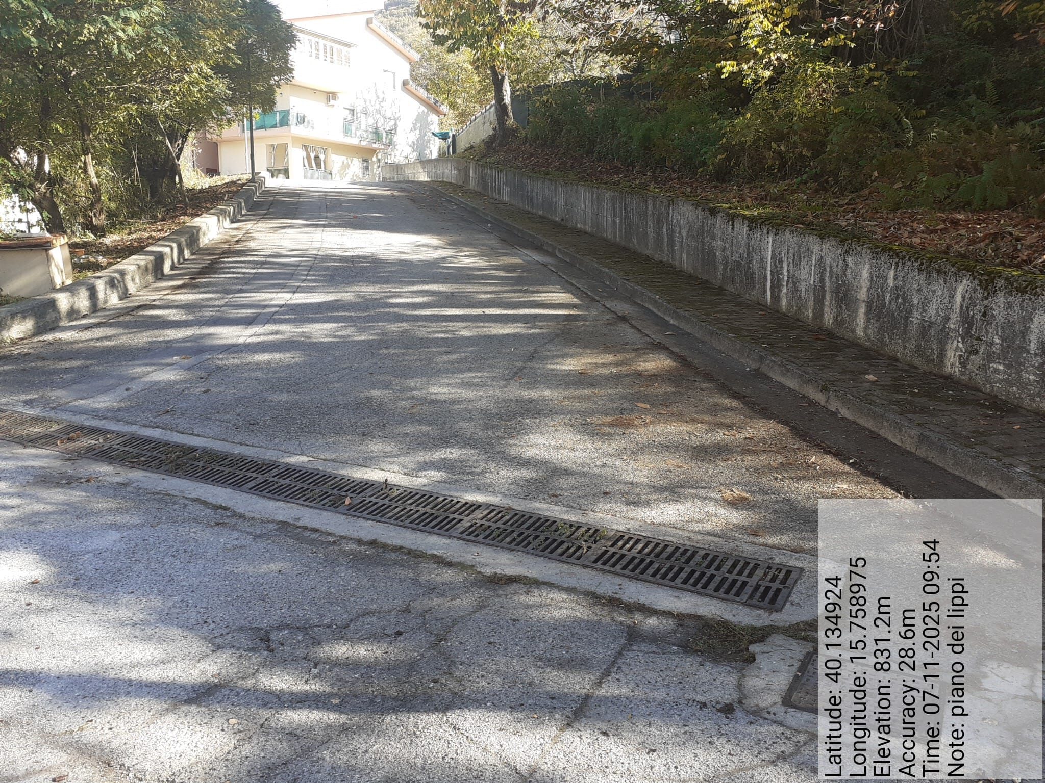 Galleria Fotografica Immagine