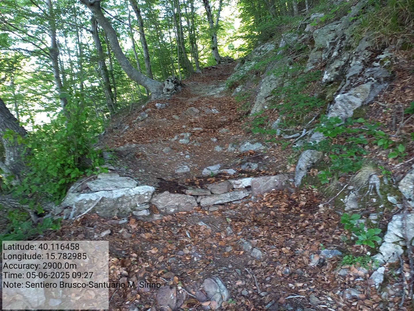 Galleria Fotografica Immagine