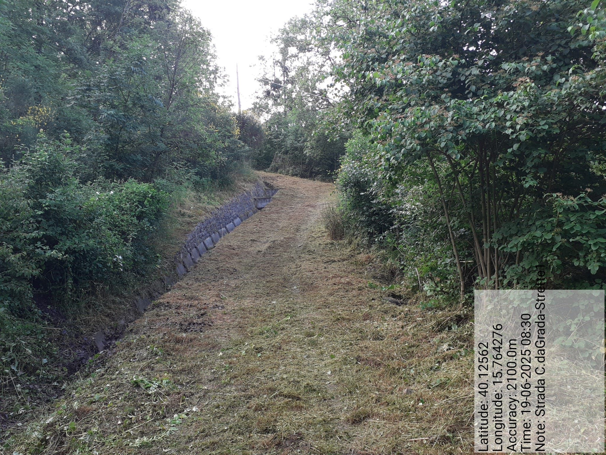 Galleria Fotografica Immagine