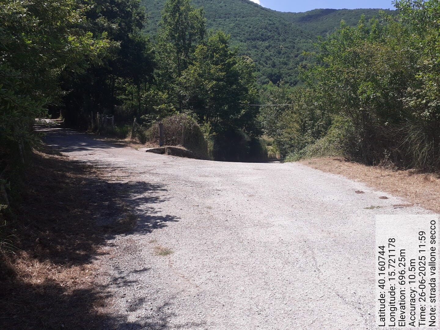 Galleria Fotografica Immagine