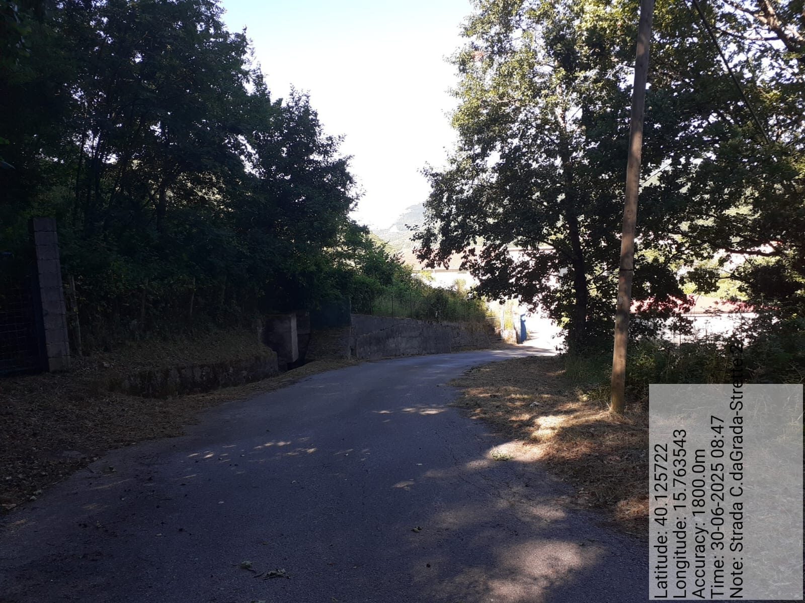 Galleria Fotografica Immagine