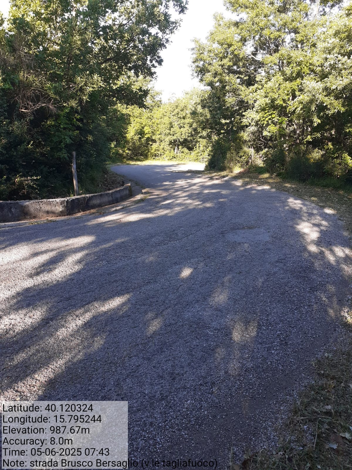 Galleria Fotografica Immagine