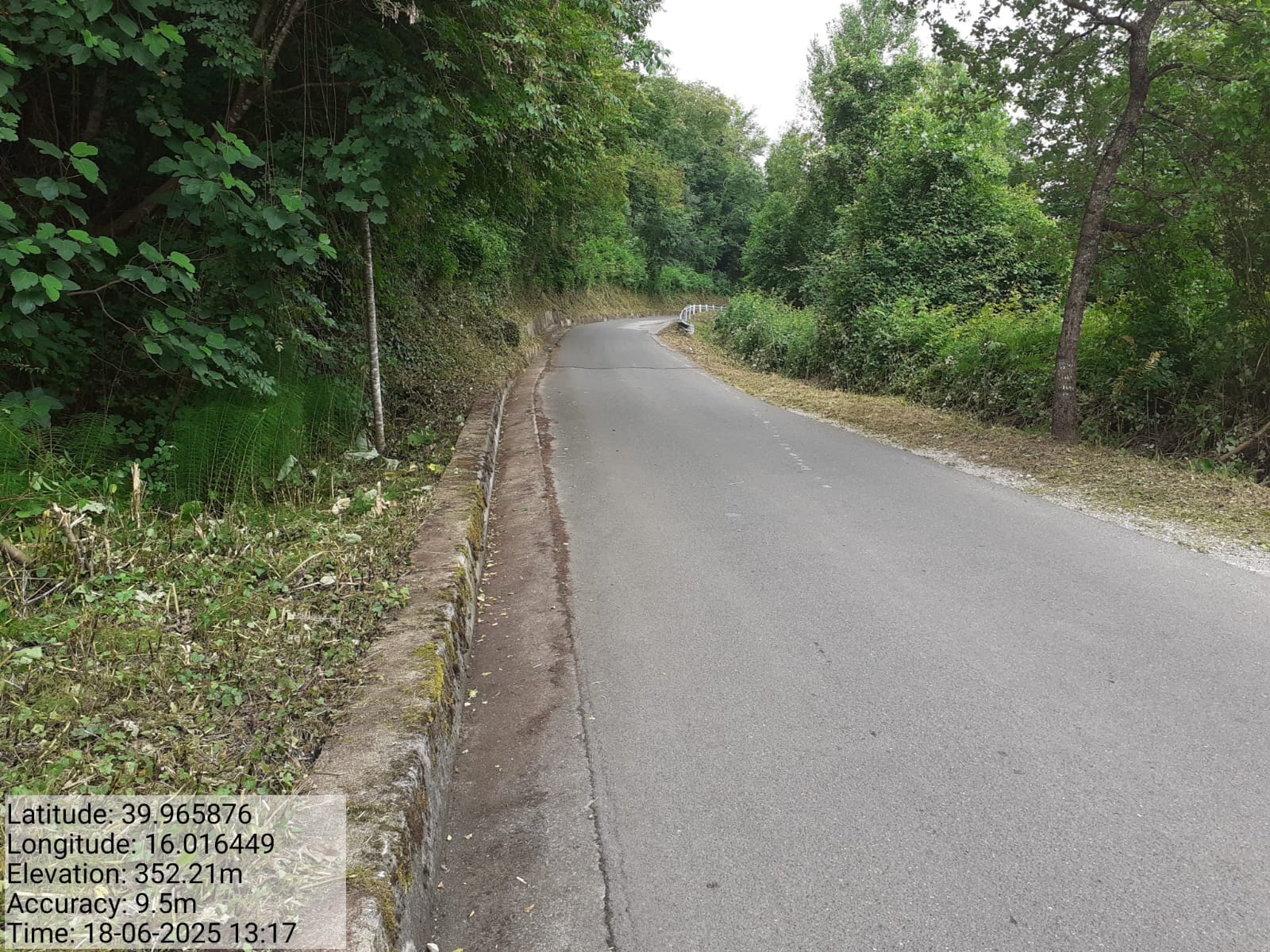 Galleria Fotografica Immagine