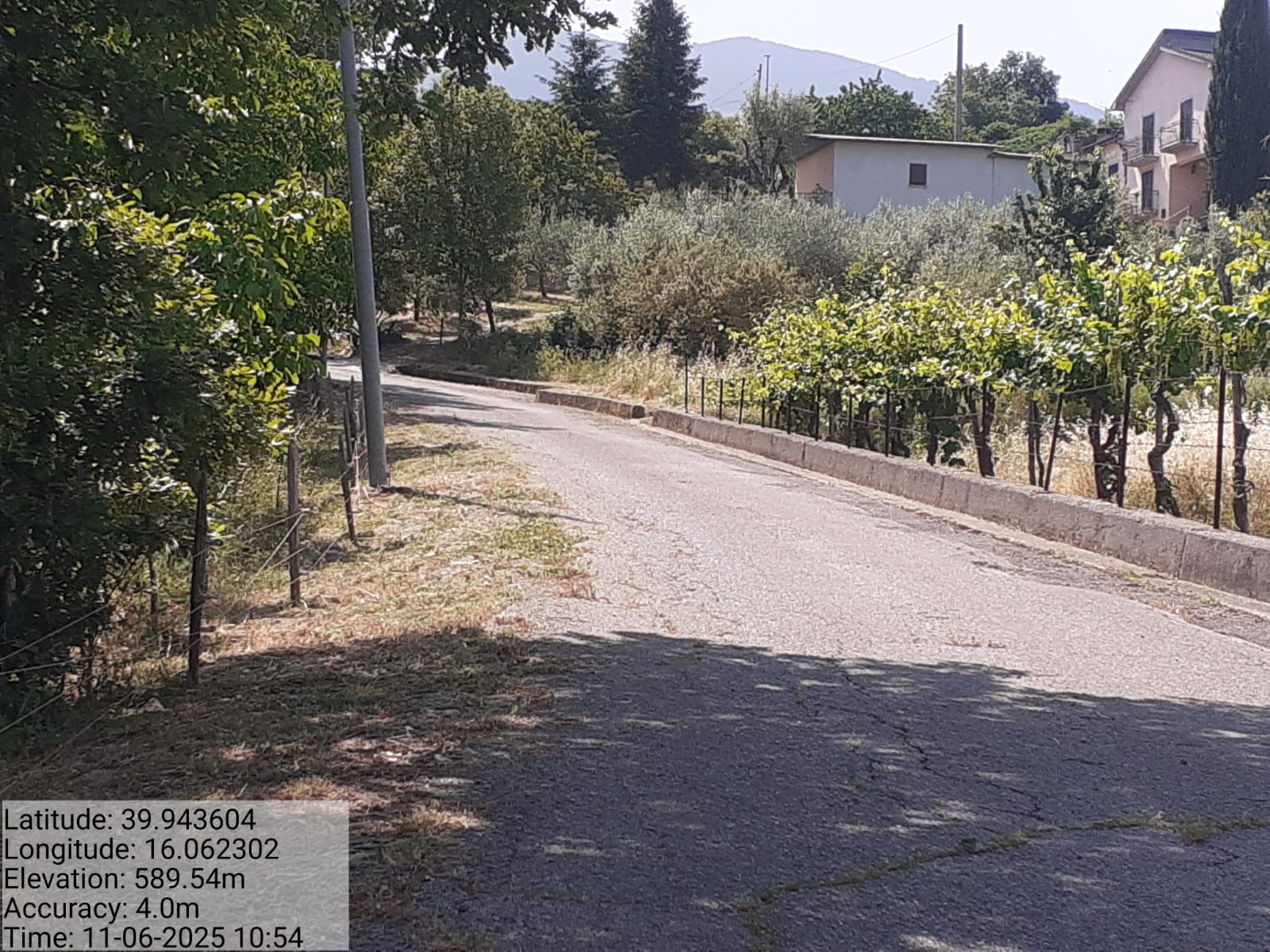 Galleria Fotografica Immagine