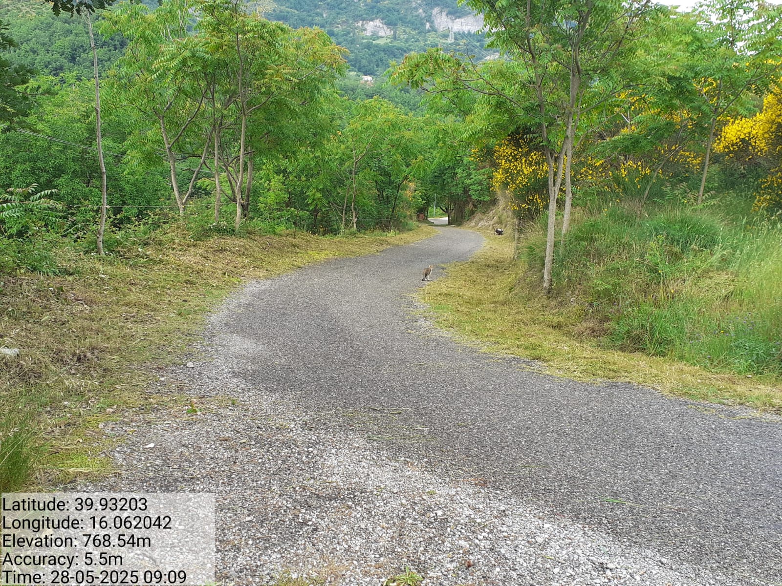 Galleria Fotografica Immagine