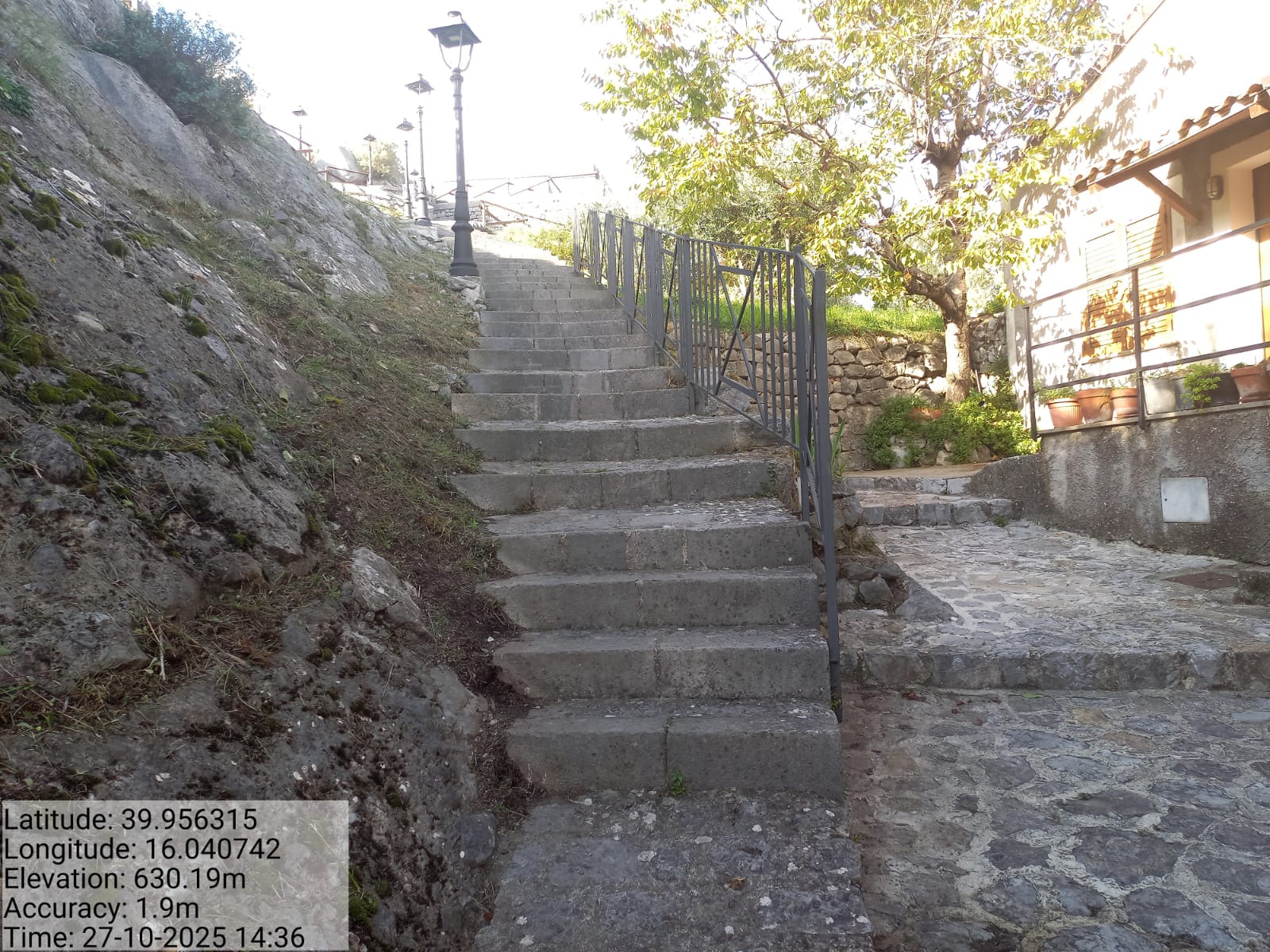 Galleria Fotografica Immagine