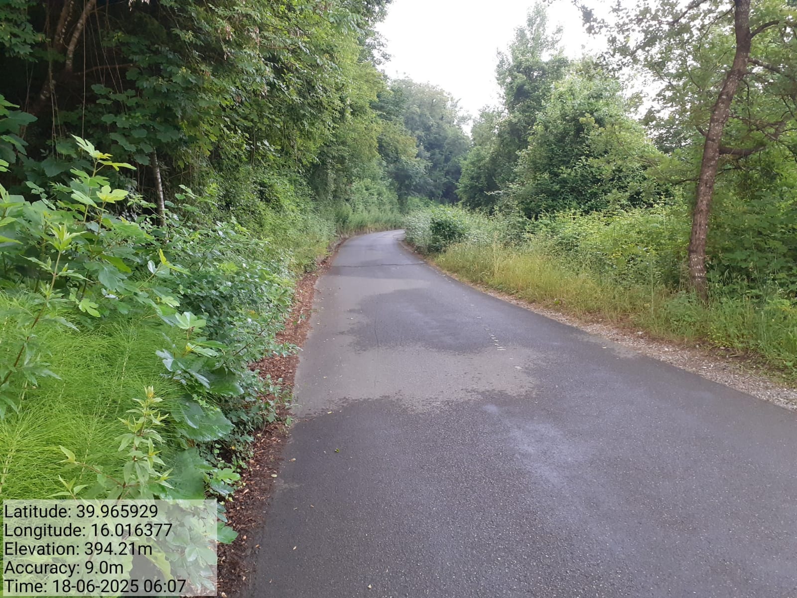 Galleria Fotografica Immagine