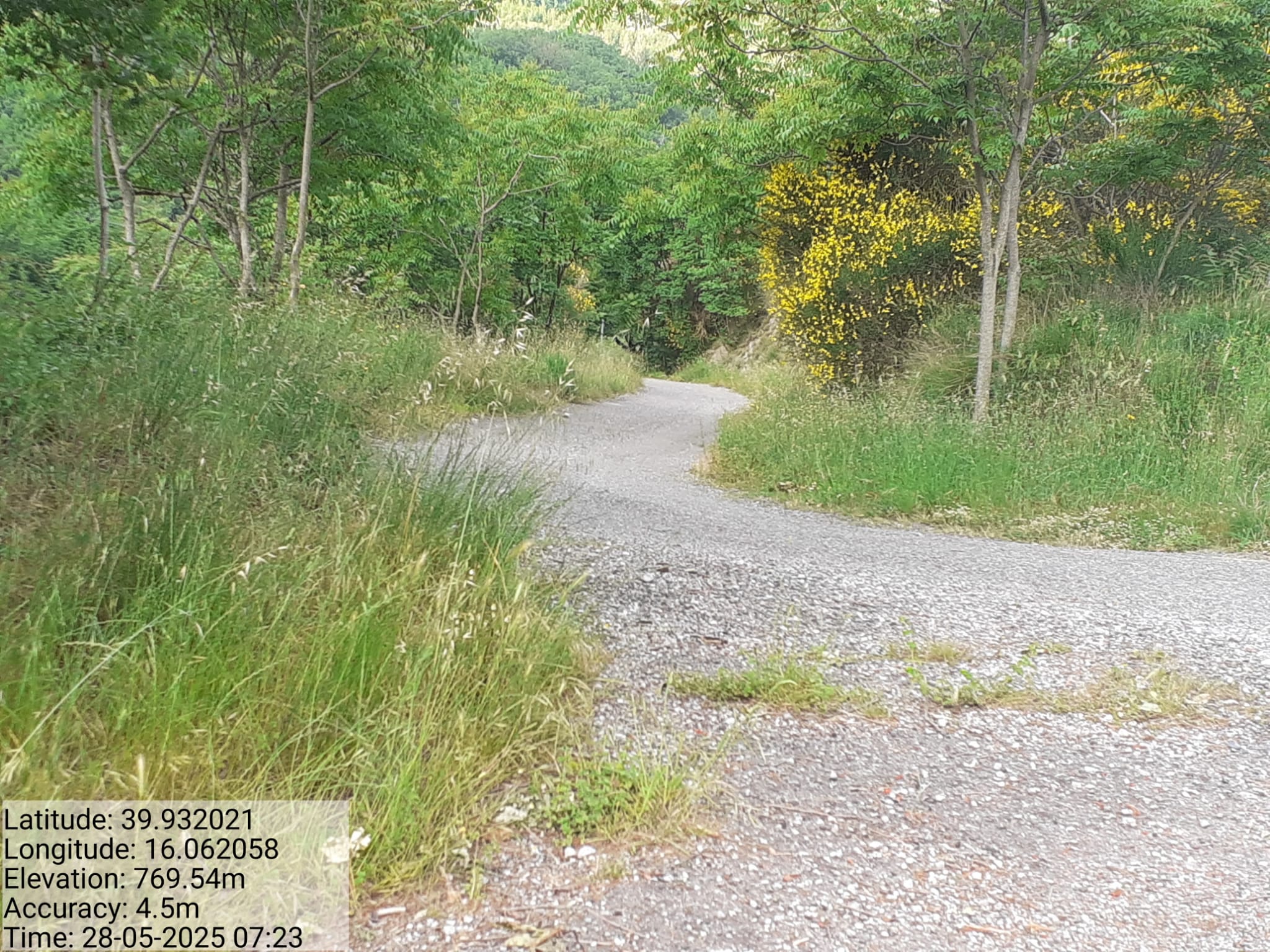 Galleria Fotografica Immagine