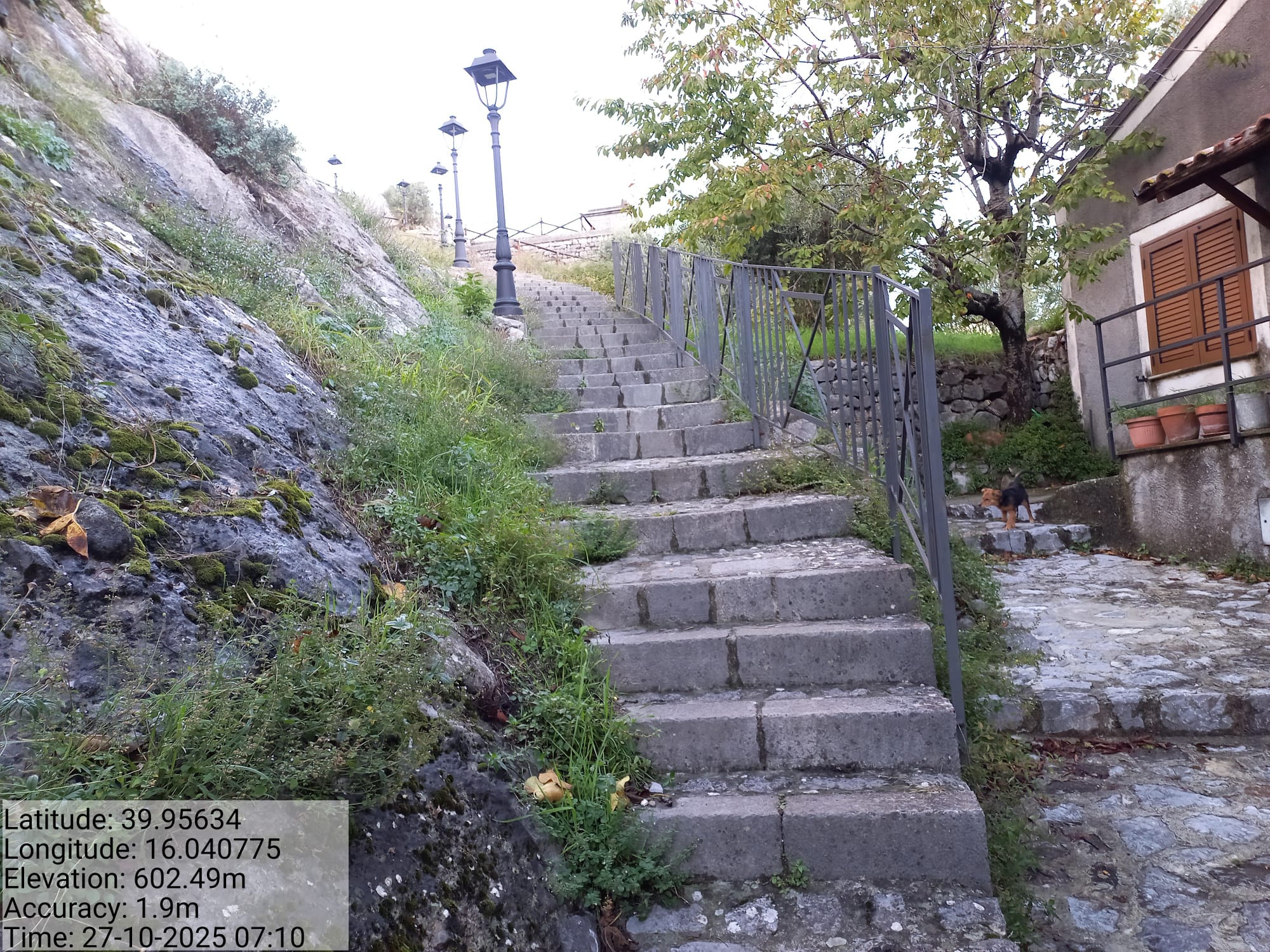 Galleria Fotografica Immagine