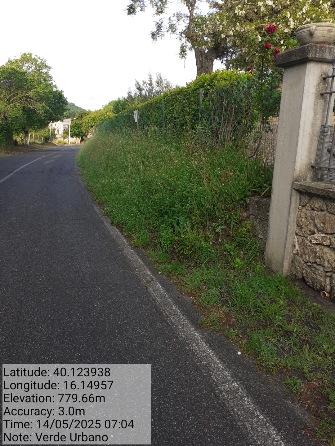 Galleria Fotografica Immagine