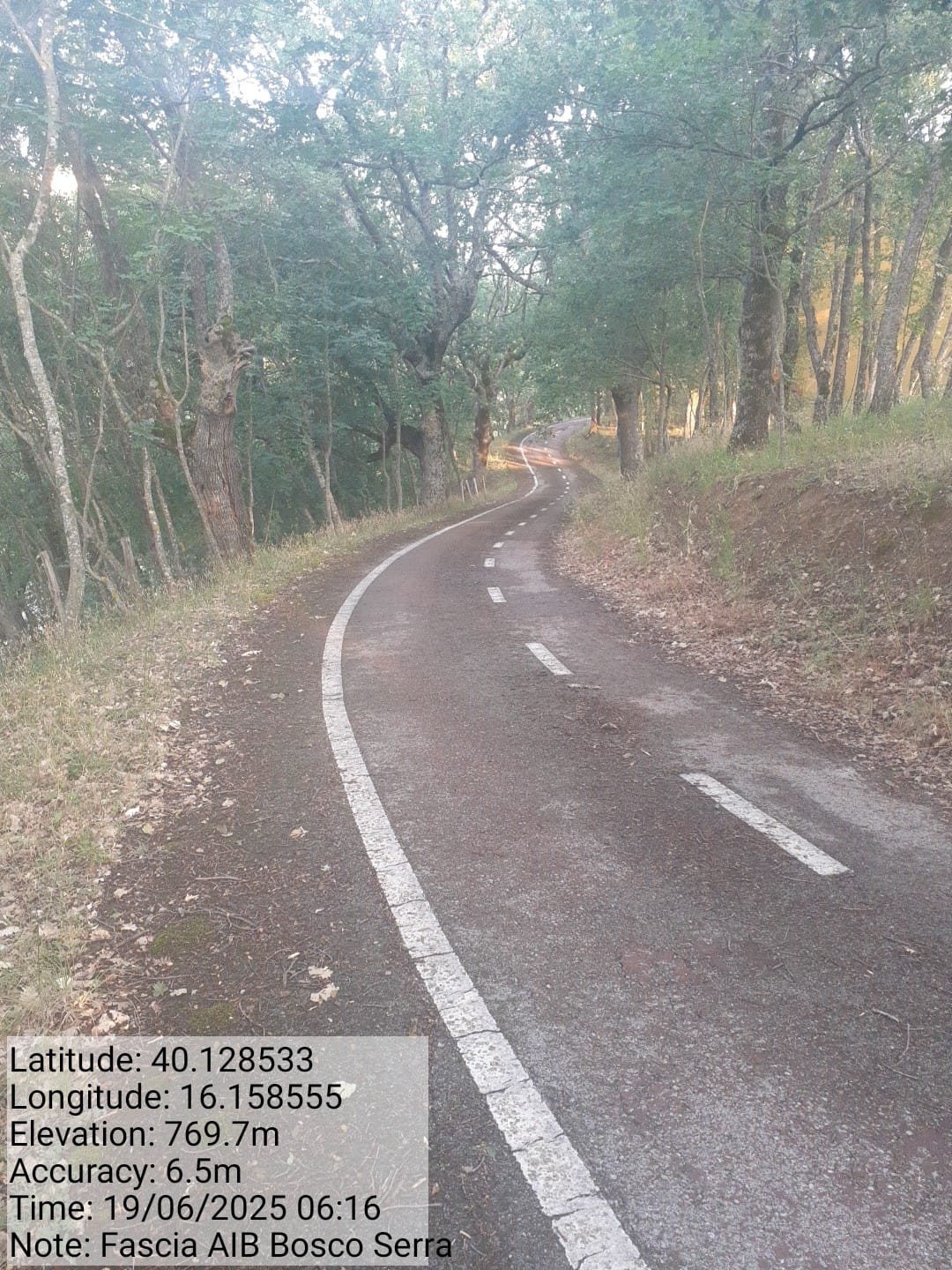 Galleria Fotografica Immagine