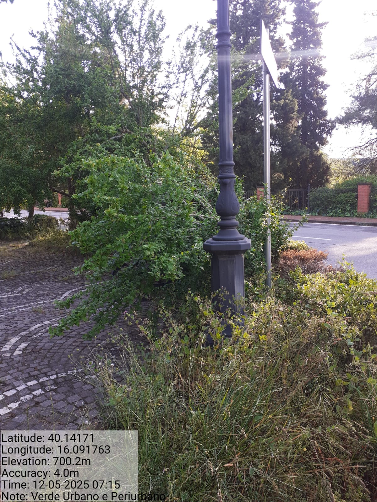 Galleria Fotografica Immagine