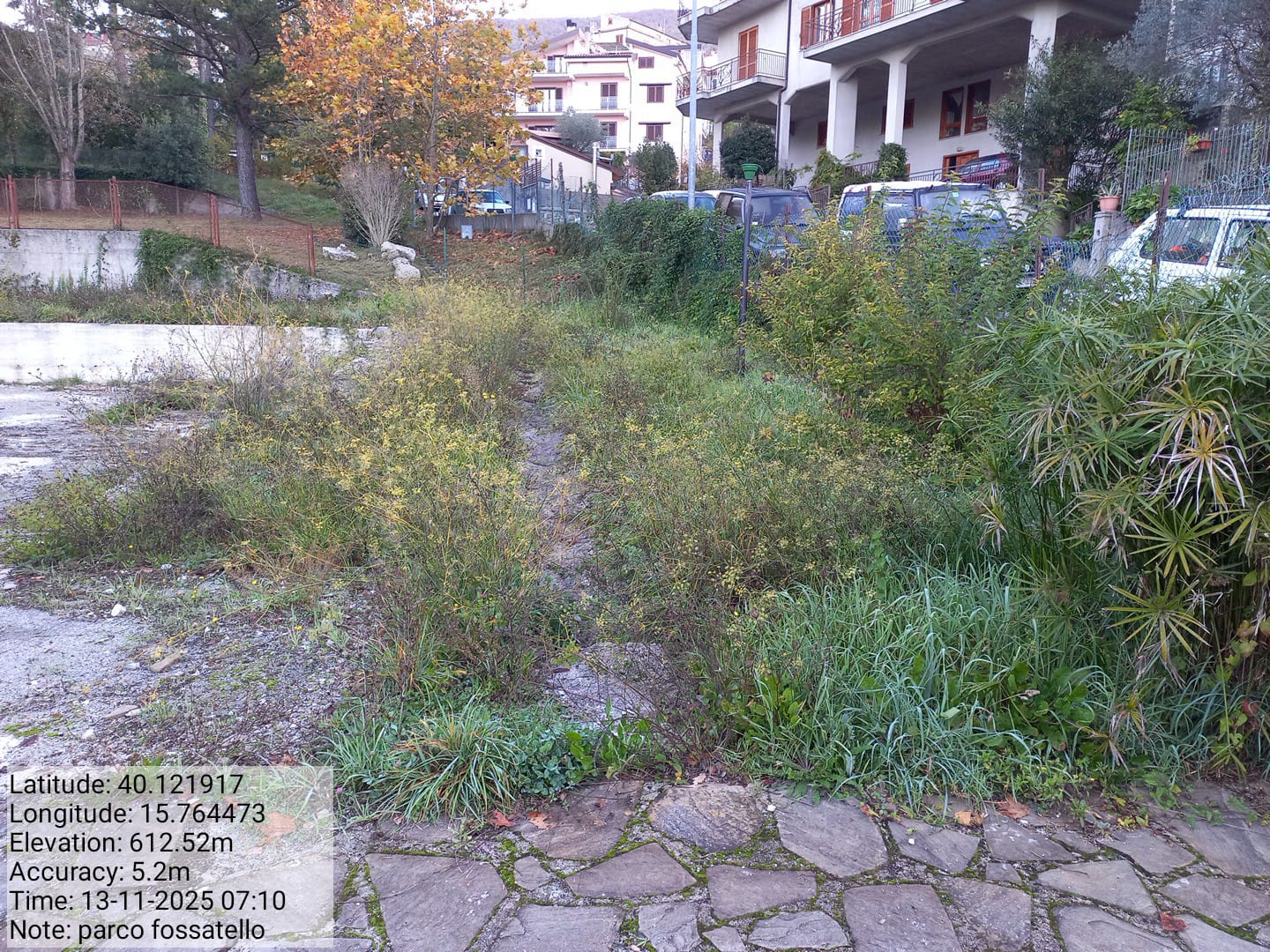 Galleria Fotografica Immagine