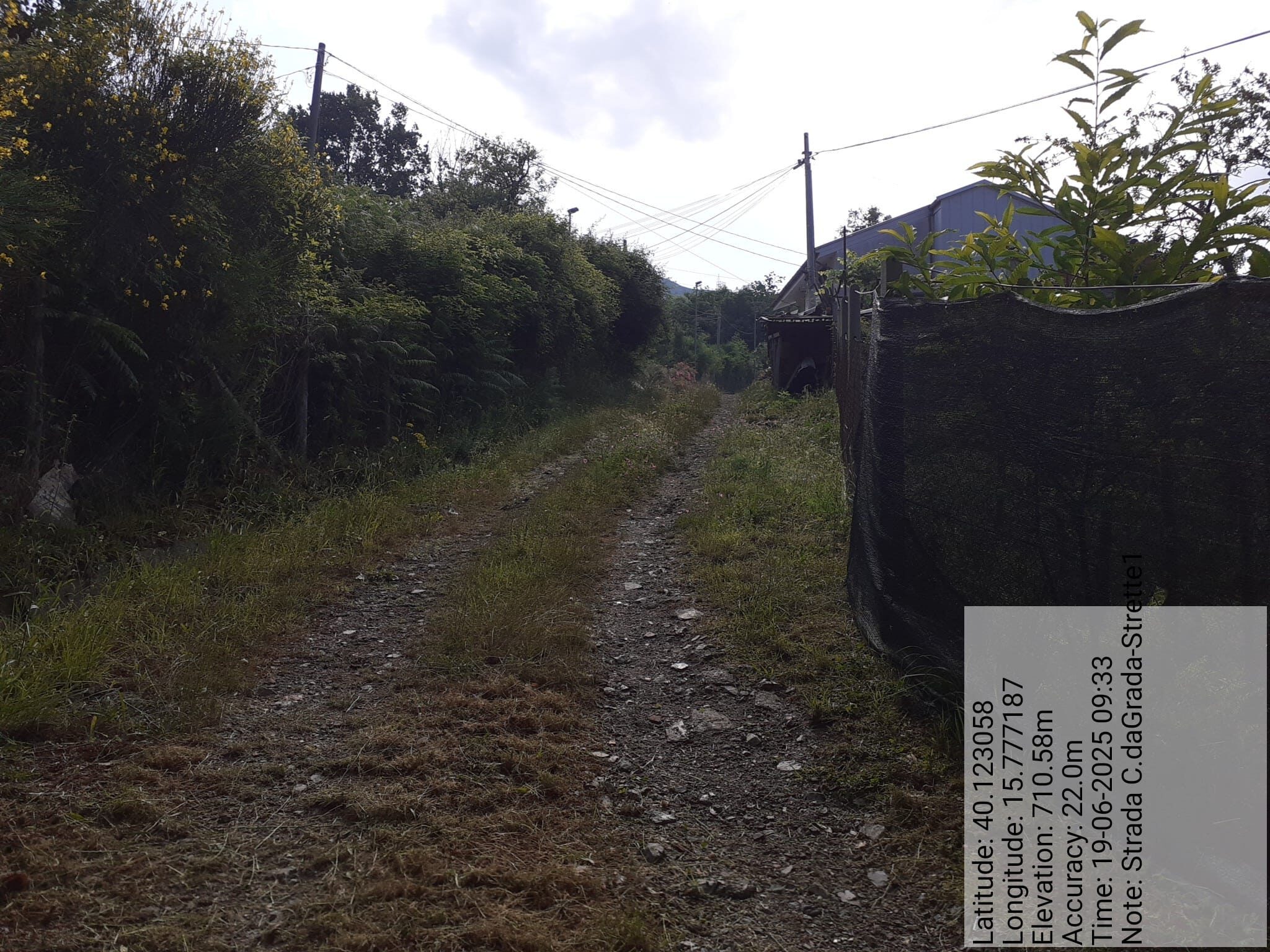 Galleria Fotografica Immagine