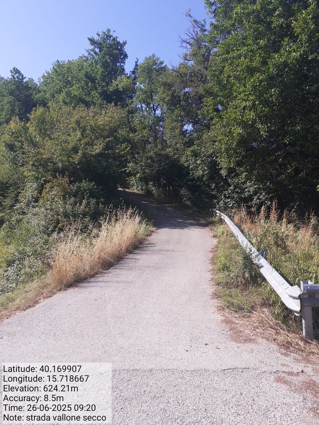 Galleria Fotografica Immagine