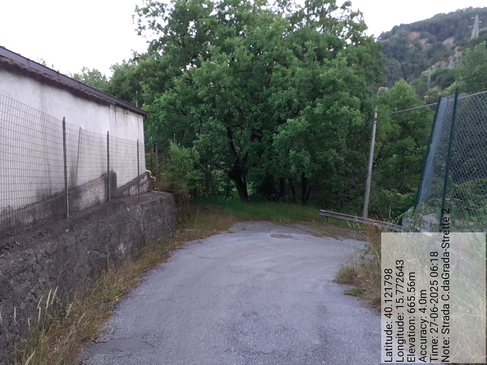 Galleria Fotografica Immagine