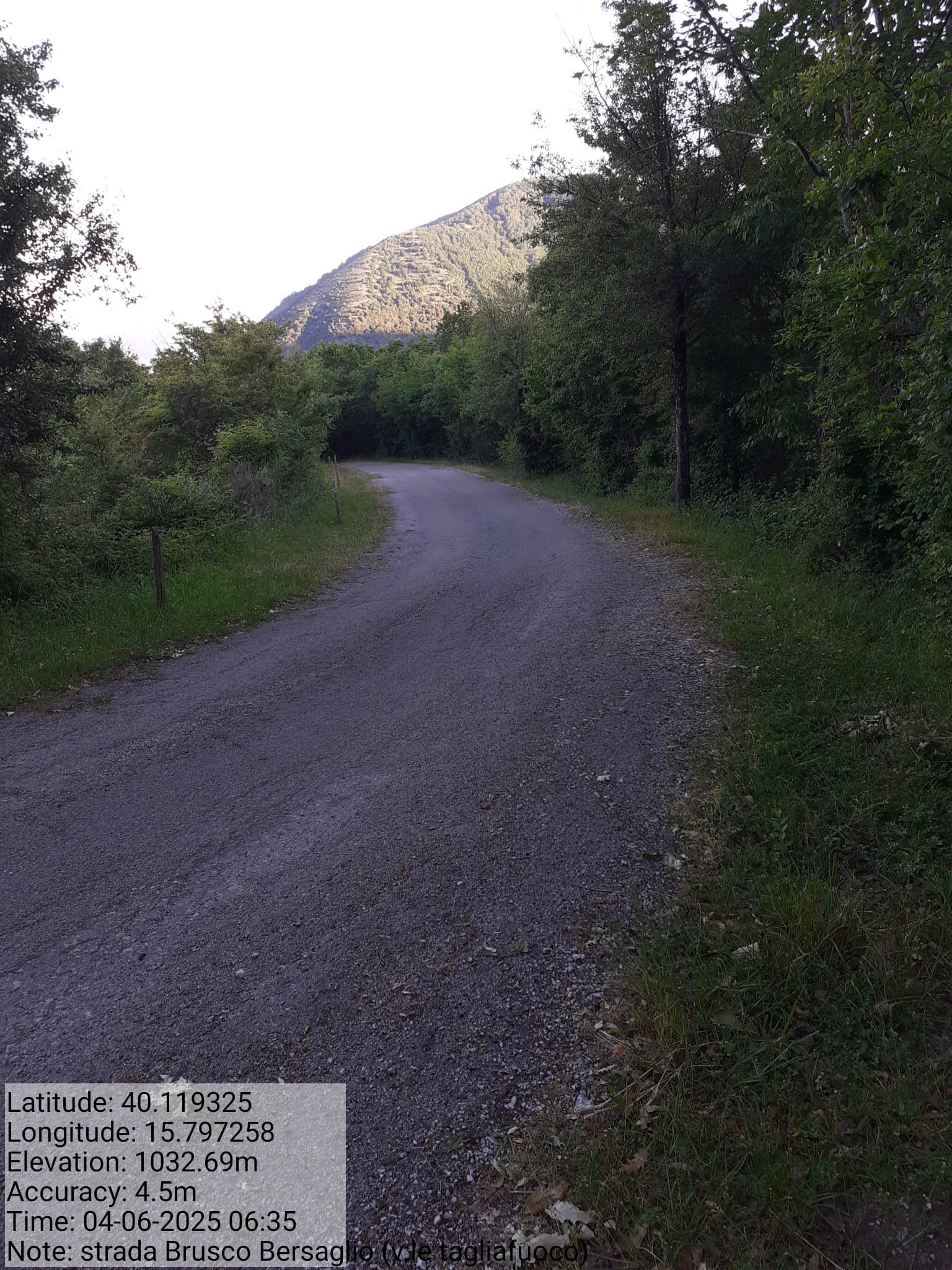 Galleria Fotografica Immagine