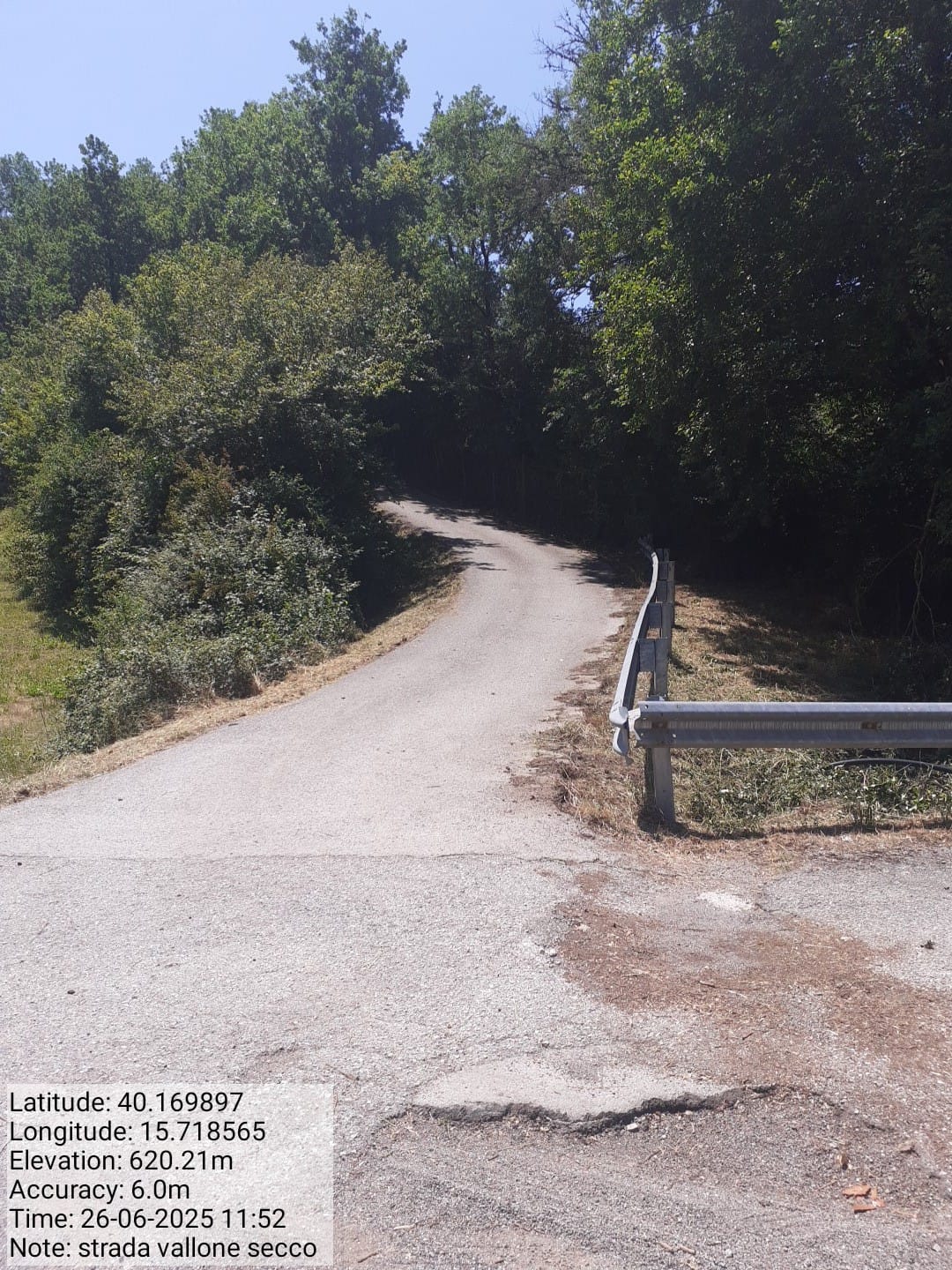 Galleria Fotografica Immagine