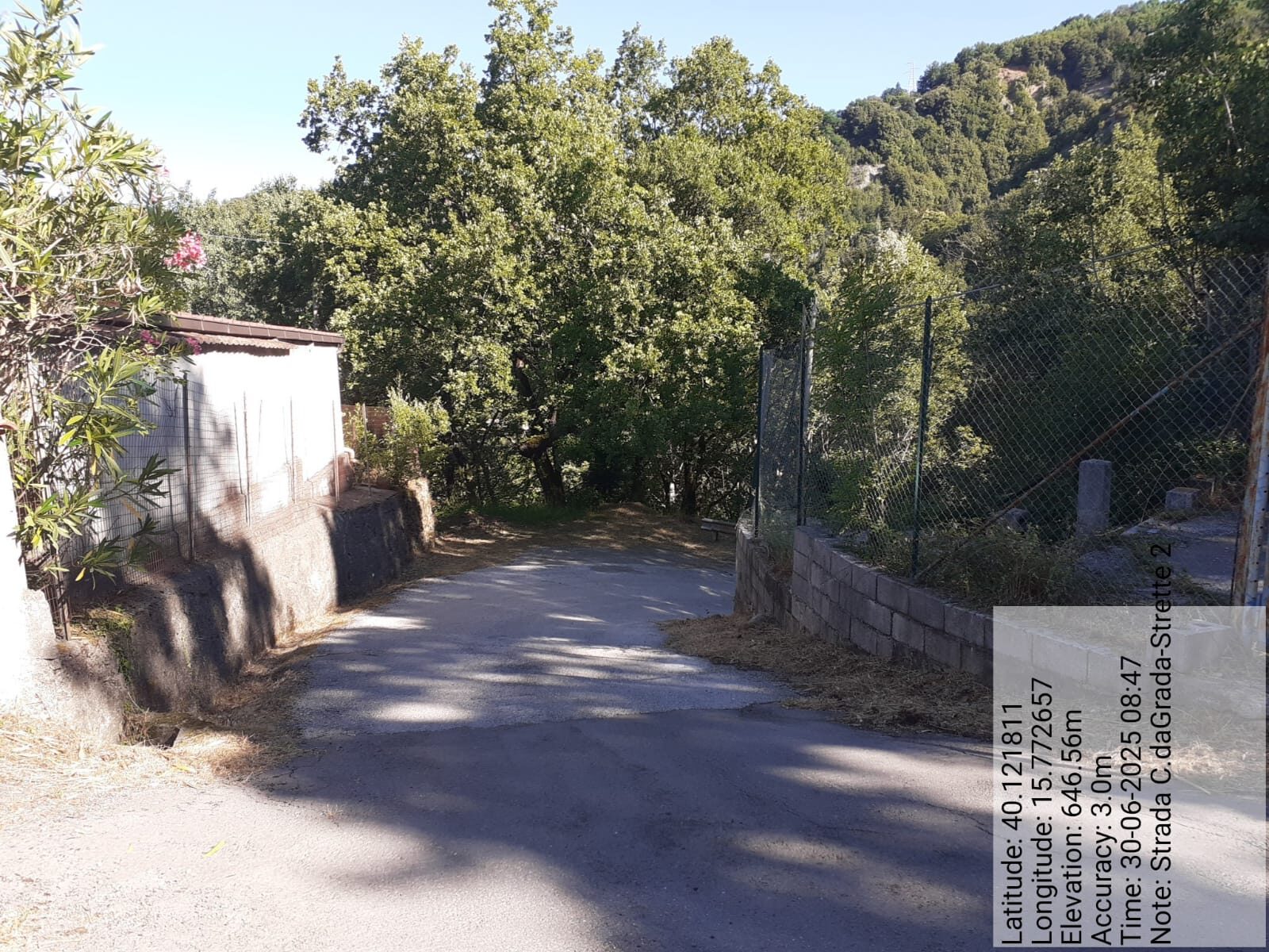 Galleria Fotografica Immagine