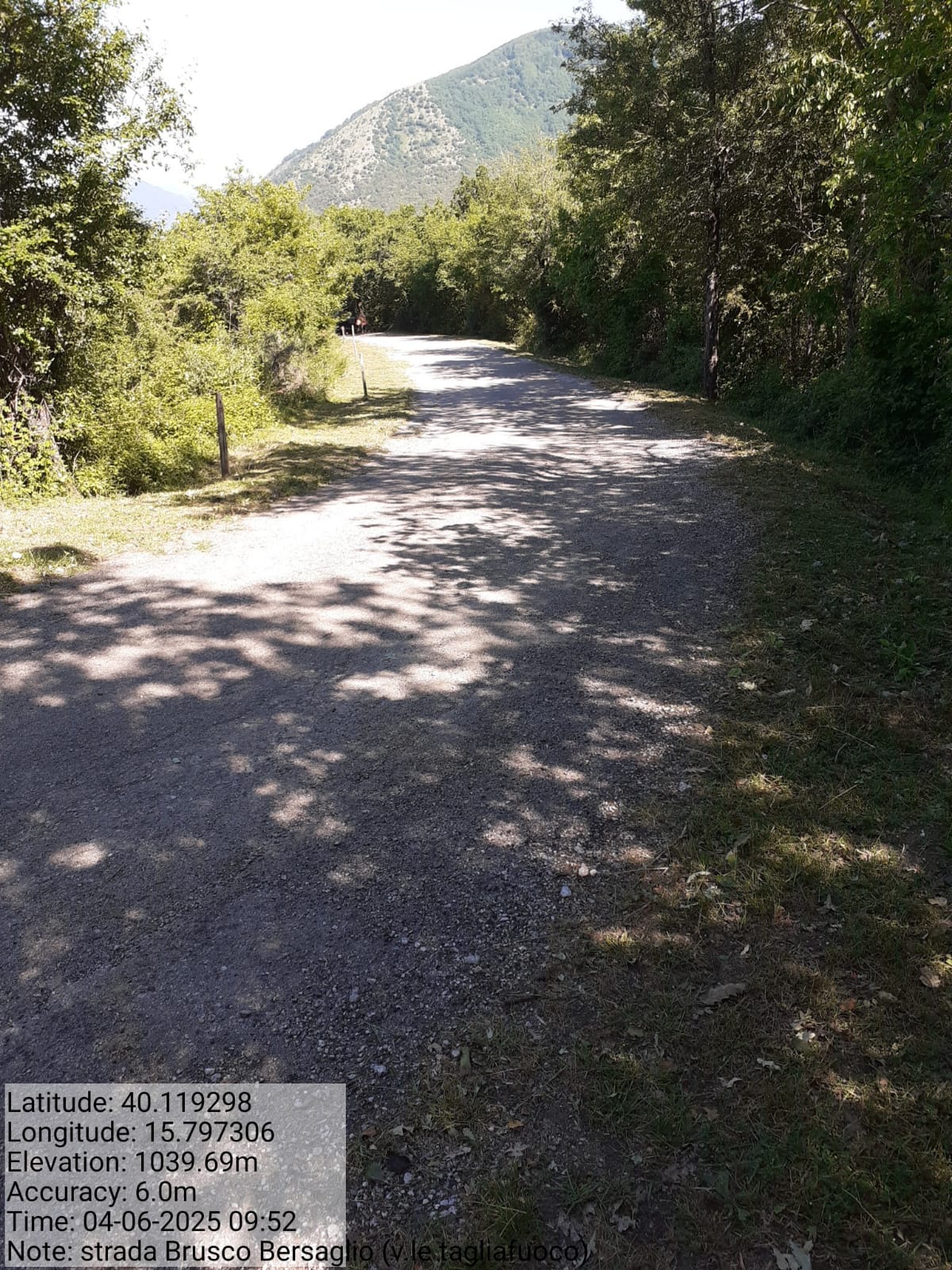 Galleria Fotografica Immagine