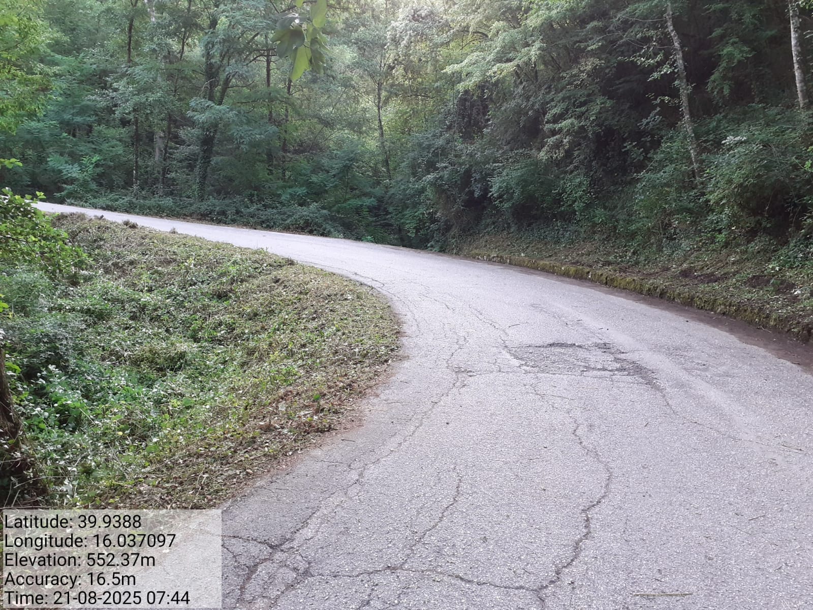 Galleria Fotografica Immagine