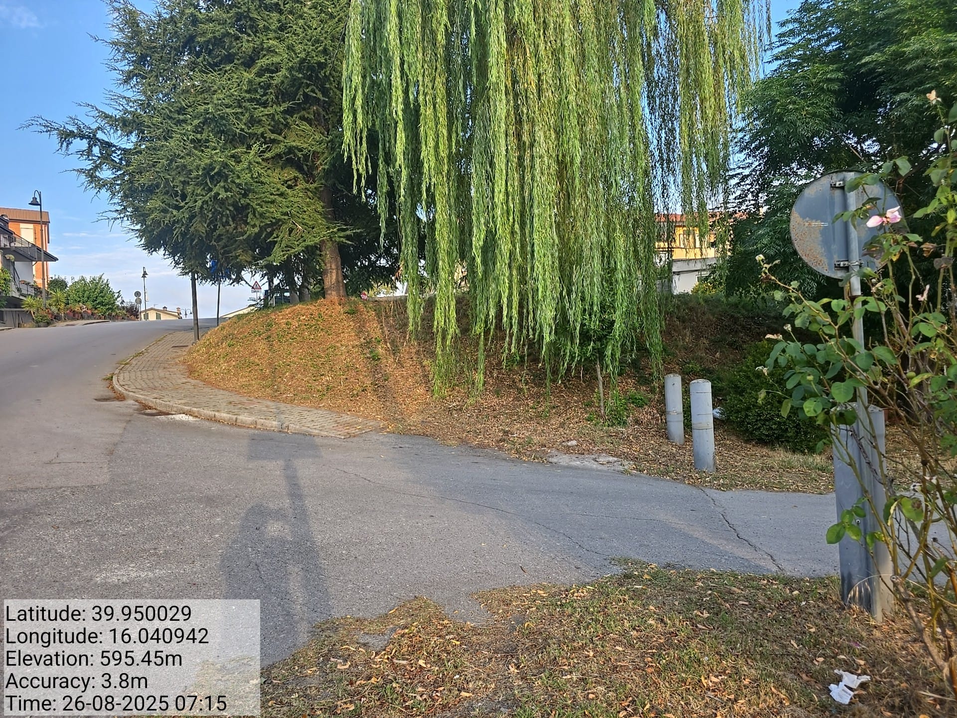 Galleria Fotografica Immagine