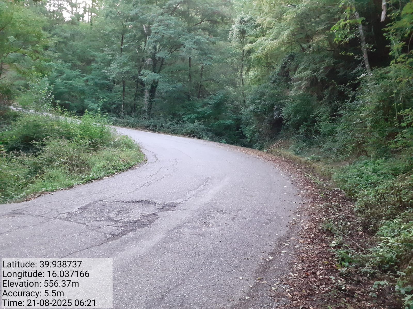 Galleria Fotografica Immagine