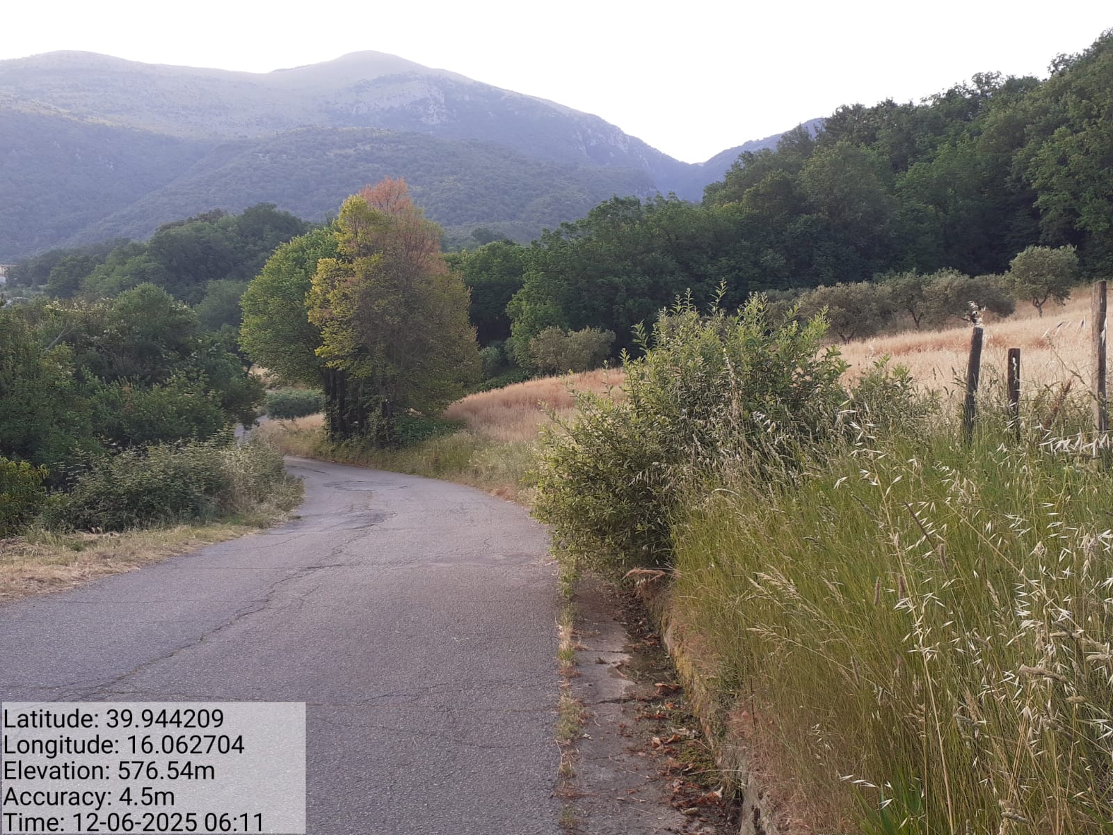 Galleria Fotografica Immagine