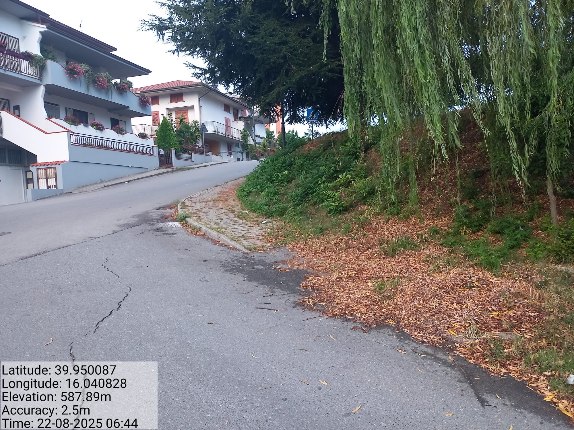 Galleria Fotografica Immagine